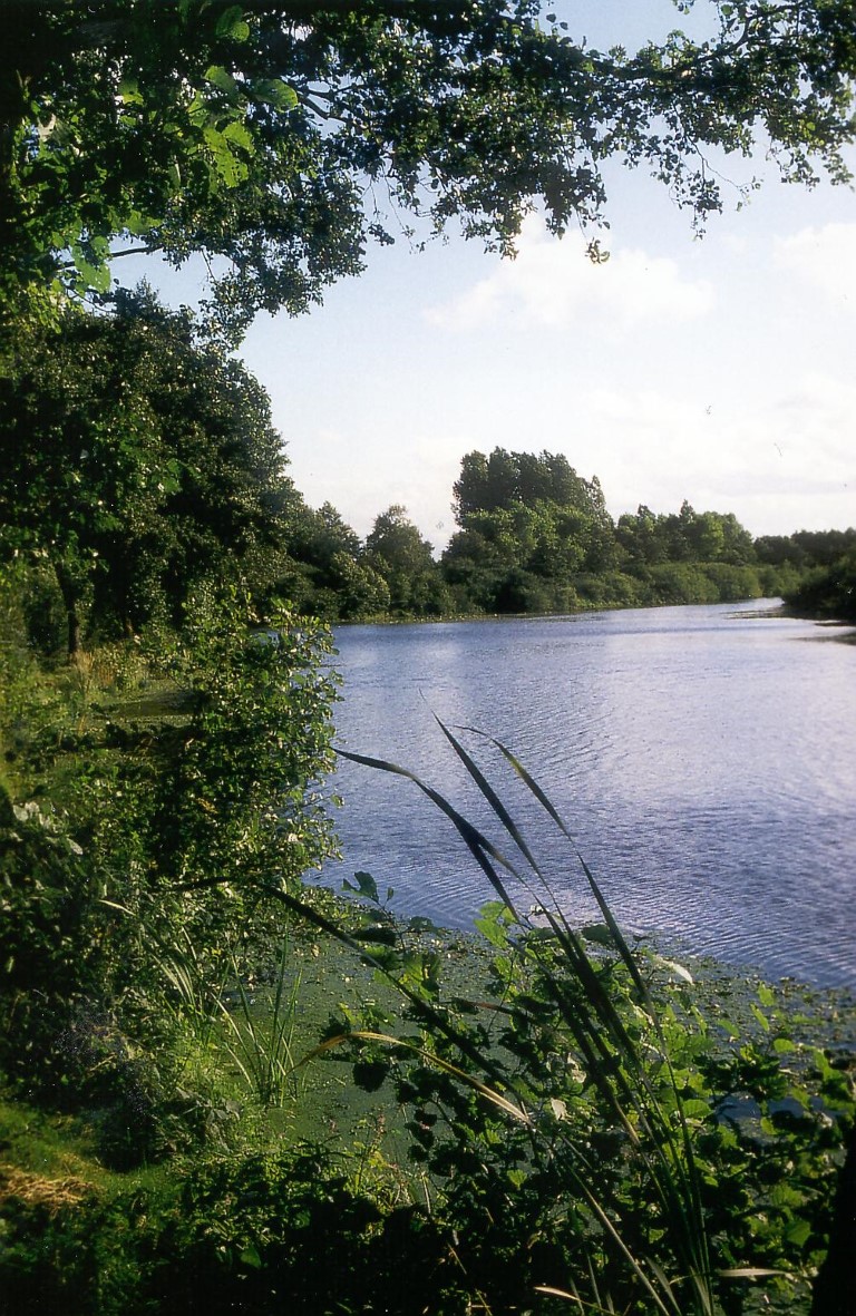 Langholter Meer